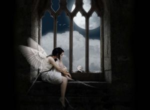 THE CONNECTION TO THE SPIRIT