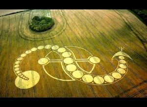 WHAT IS THE REASON BEHIND CROP CIRCLES?