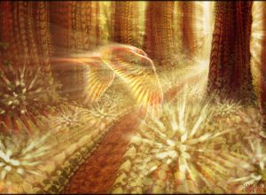 Self-awareness tips: Spiritual levels